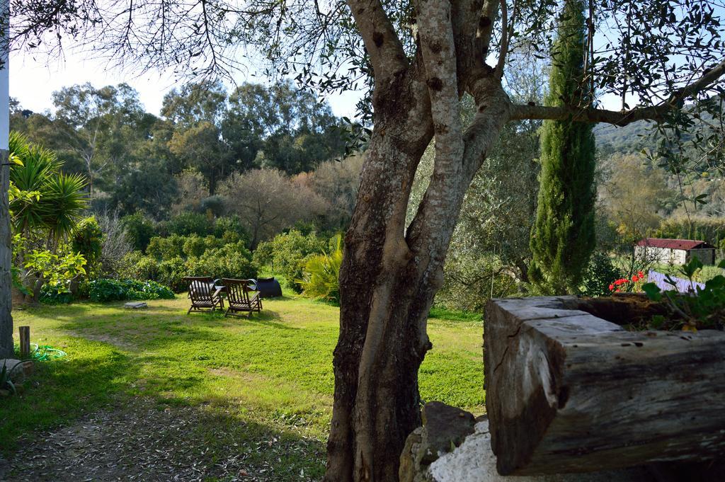 El Colmenar Casa Rural Ahoraya 게스트하우스 외부 사진