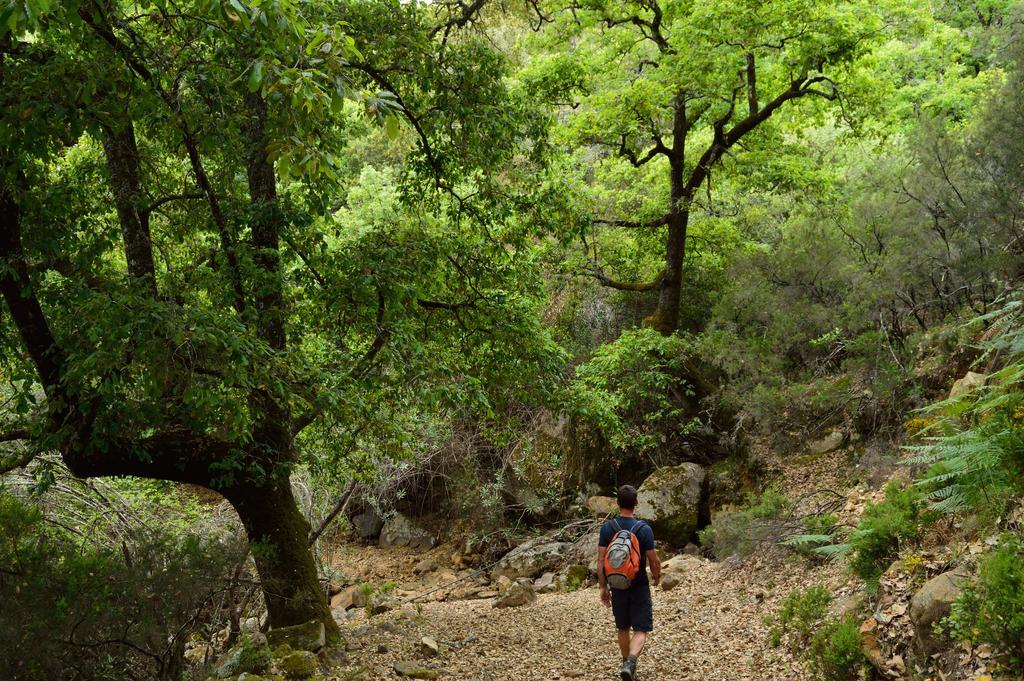 El Colmenar Casa Rural Ahoraya 게스트하우스 외부 사진