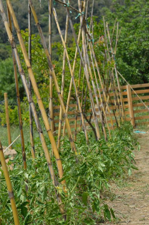 El Colmenar Casa Rural Ahoraya 게스트하우스 외부 사진