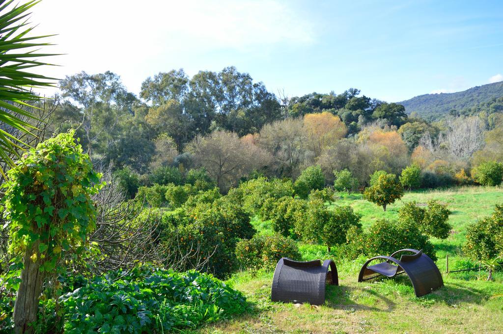 El Colmenar Casa Rural Ahoraya 게스트하우스 외부 사진